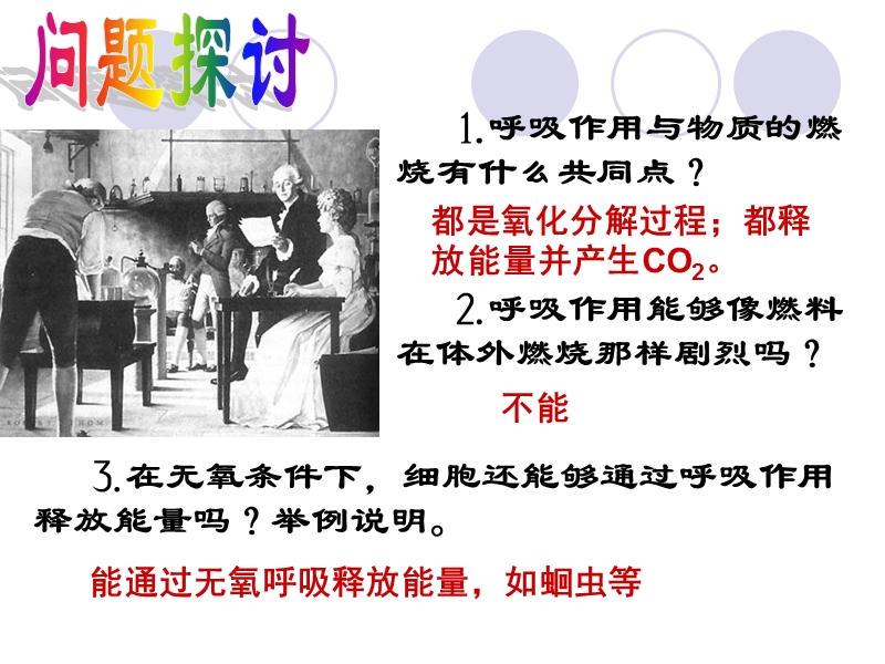 53-atp的主要来源——细胞呼吸.ppt_第3页