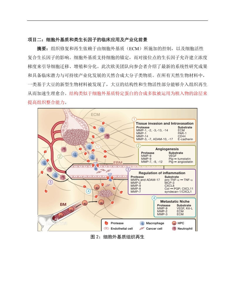 胶原基支架用于软组织修复及其应用.doc_第2页