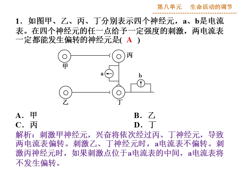 高考热点集训（七）—神经调节.ppt_第2页