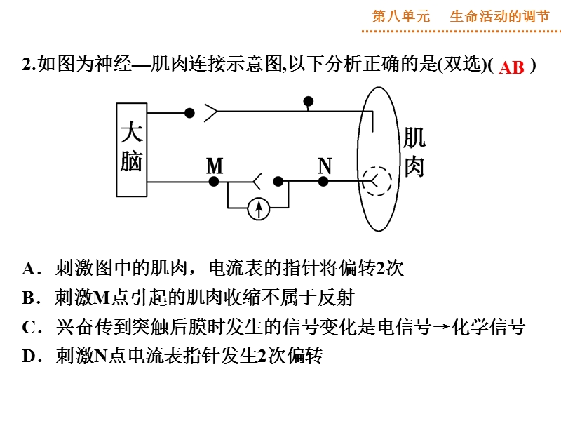 高考热点集训（七）—神经调节.ppt_第3页