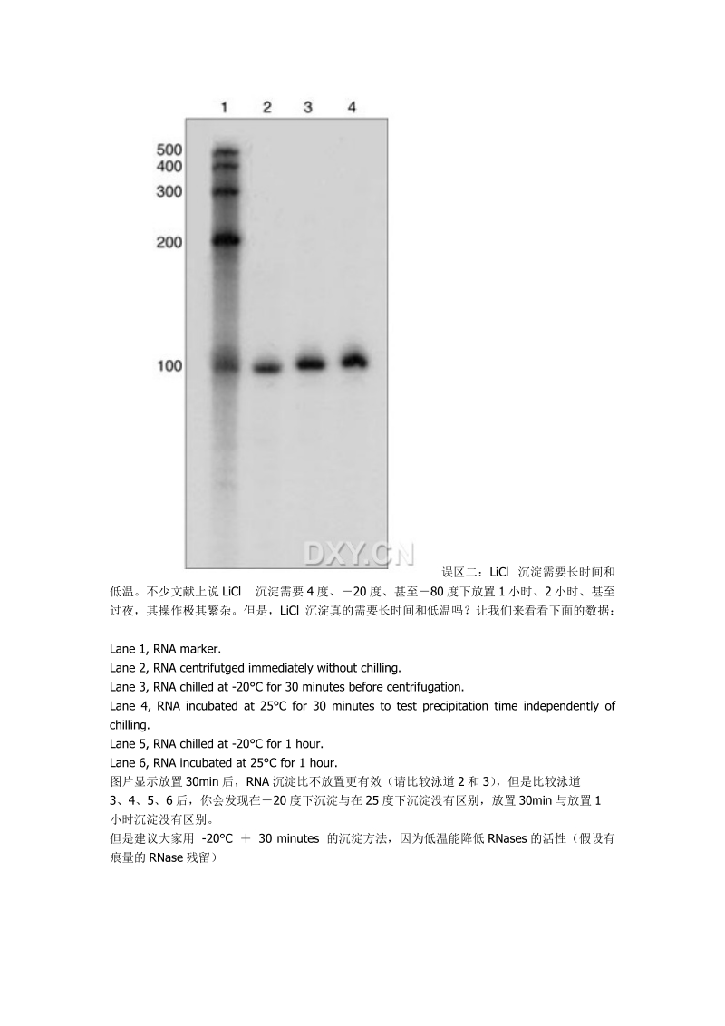 刚涉及rna抽提的新手都会听到别人说rnase很顽固，用高压灭菌都.doc_第2页