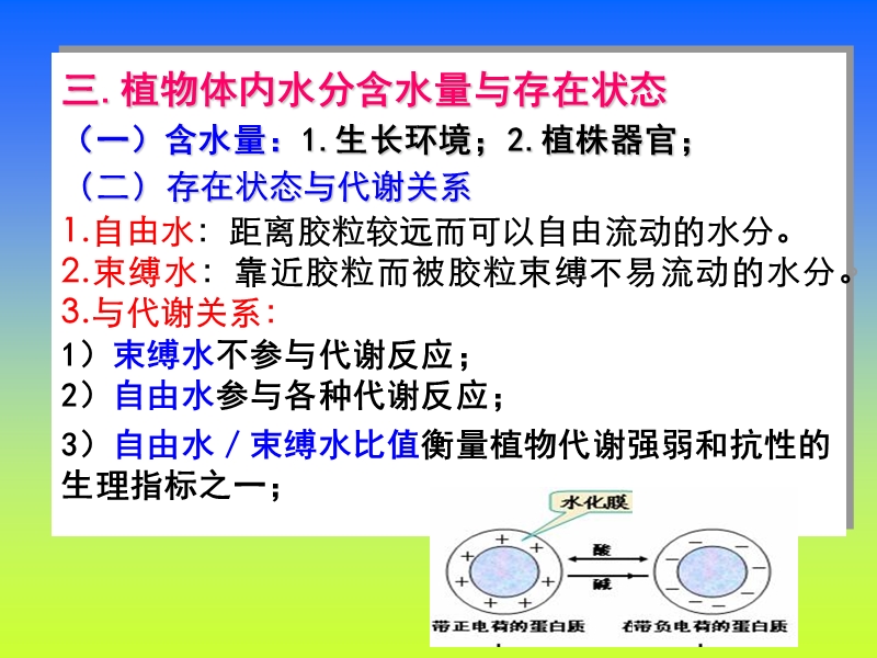 第一章  水分生理.ppt_第3页