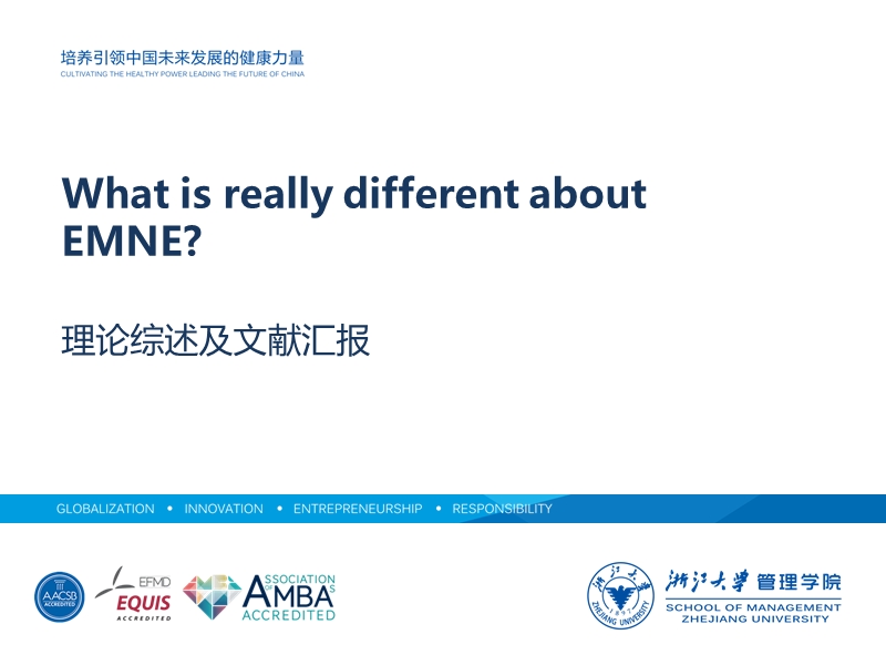 emne-ib重要领域-懂的人会懂.ppt_第1页