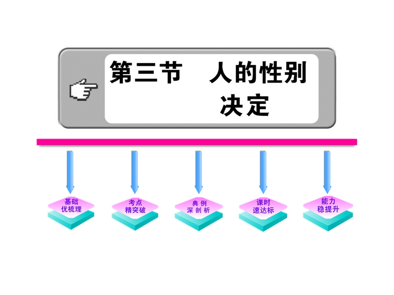 《人的性别决定》(苏教版八年级上).ppt_第1页