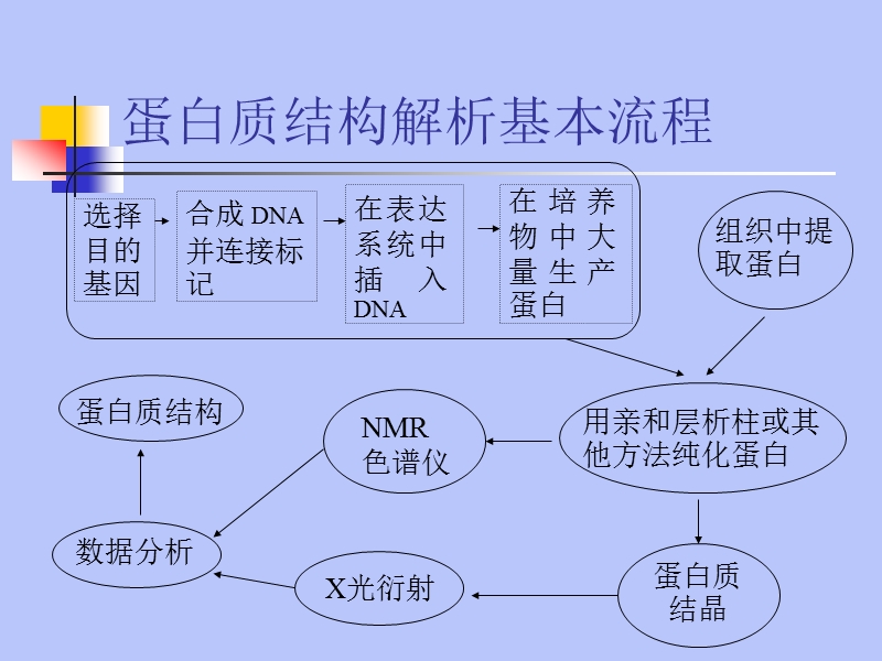 x-ray衍射法解析蛋白质晶体结构 【课件】.ppt_第2页