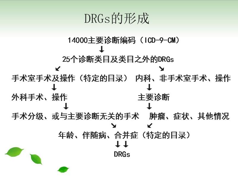 drgs-drgs-pps相关情况介绍-疾病诊断与主要诊断的选择原则.ppt_第3页