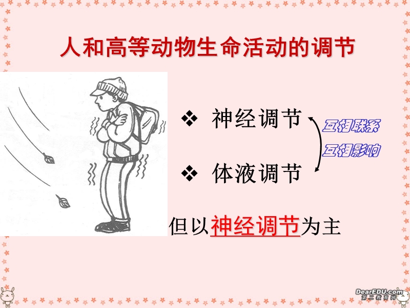 2006年浙江省高二生物人和高等动物生命活动的调节课件-新课标-人教版.ppt_第1页