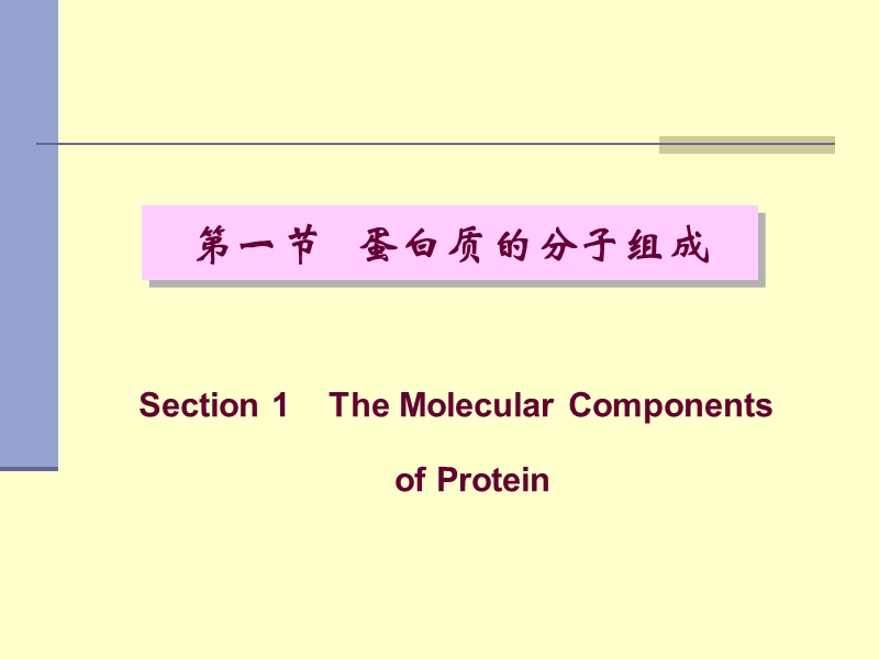 第一章  蛋白质的结构与功能【课程教案】.ppt_第3页