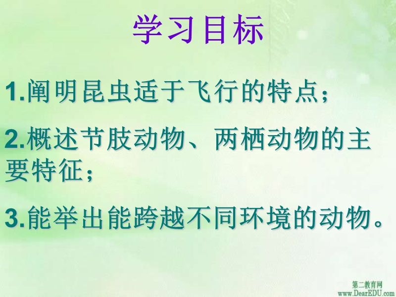 概述节肢动物.ppt_第2页