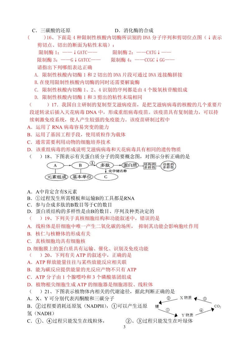 高三生物11.20.doc_第3页