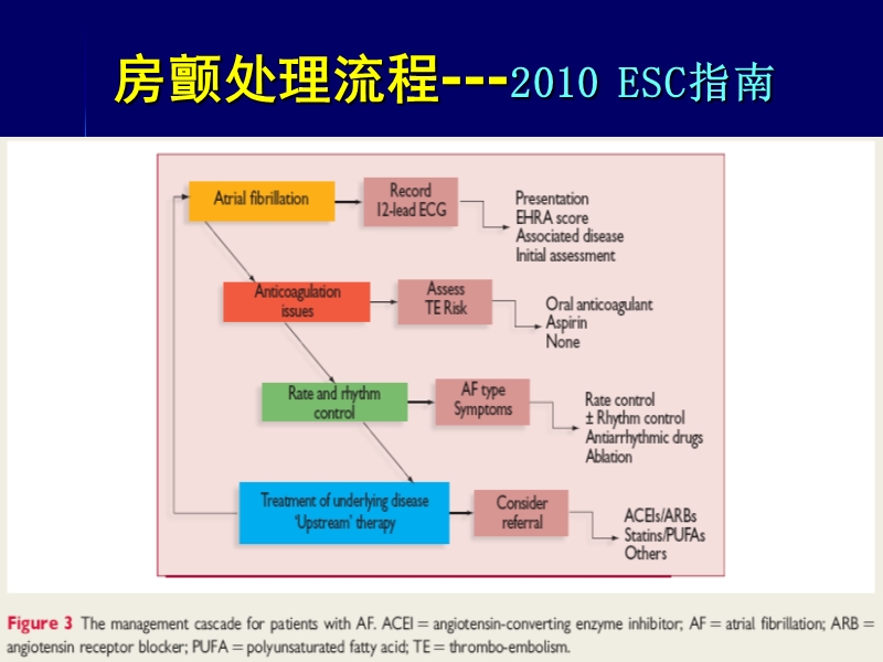 急诊科快速心律失常药物治疗策略（3）.ppt_第2页