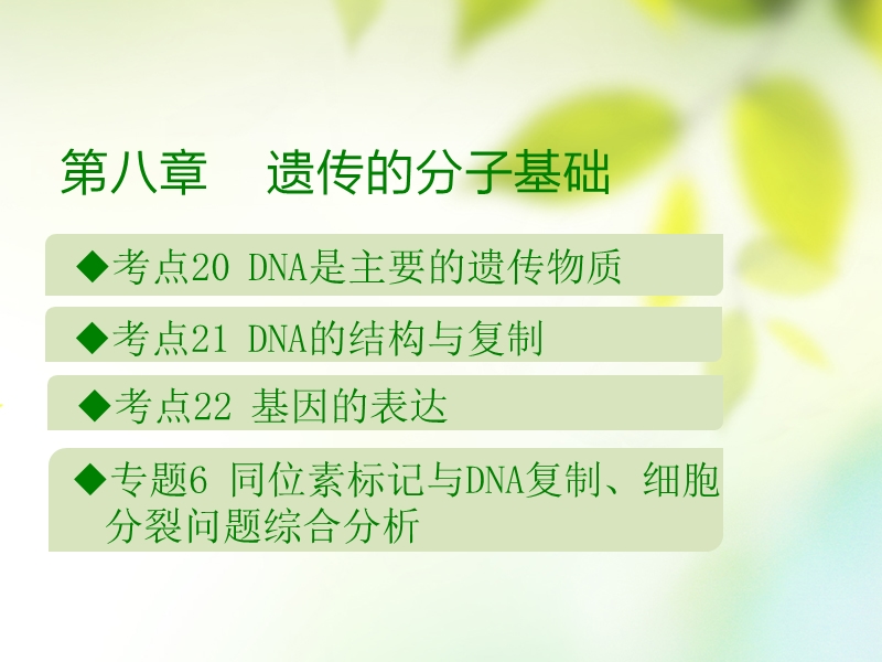 600分考点 700分考法（a版）2019版高考生物总复习 第八章 遗传的分子基础课件.ppt_第1页