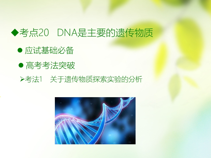 600分考点 700分考法（a版）2019版高考生物总复习 第八章 遗传的分子基础课件.ppt_第2页