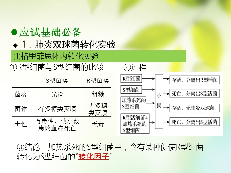 600分考点 700分考法（a版）2019版高考生物总复习 第八章 遗传的分子基础课件.ppt_第3页