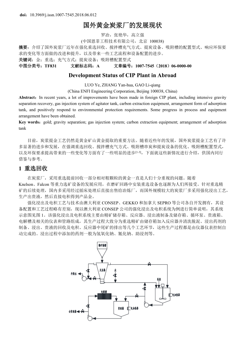 国外黄金炭浆厂的发展现状.doc_第1页