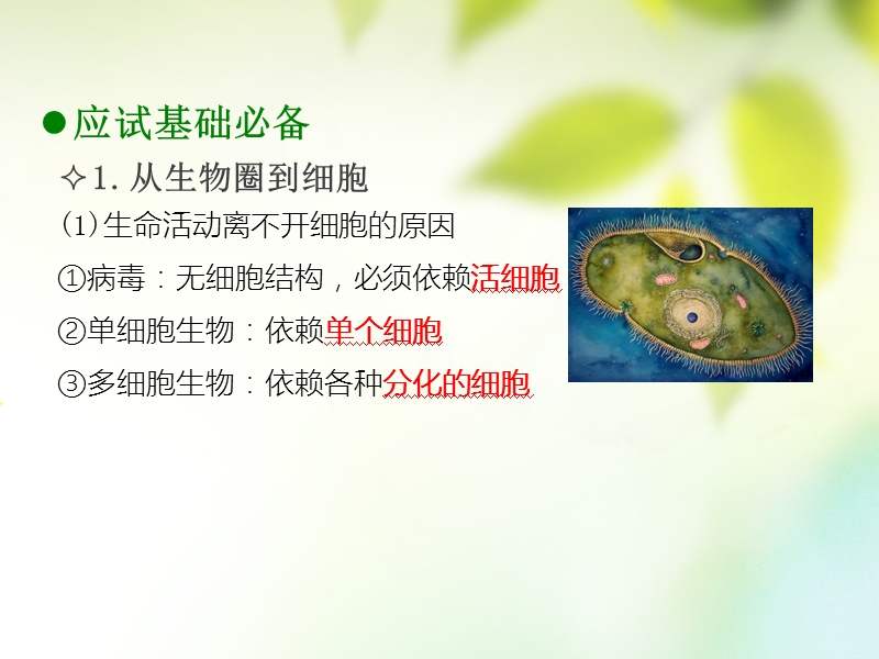 600分考点 700分考法（a版）2019版高考生物总复习 第二章 细胞的结构和功能课件.ppt_第3页