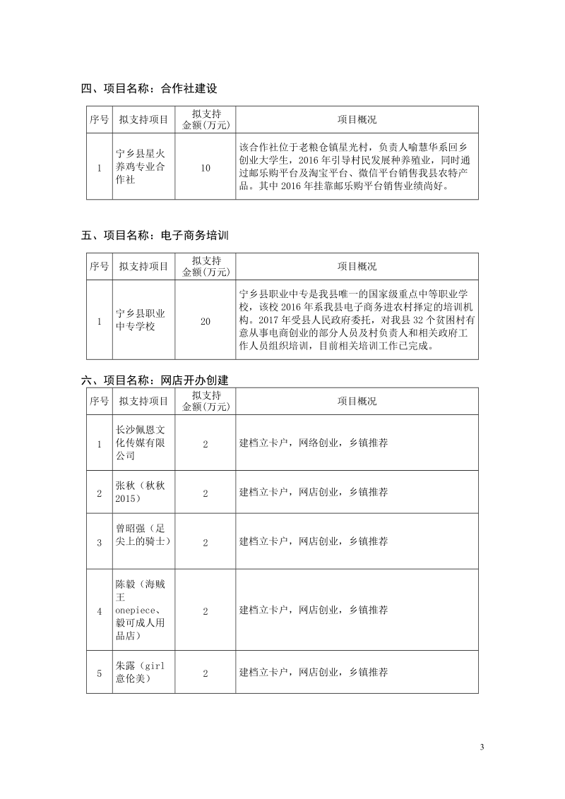 宁乡2016年电商扶贫专项资金项目.doc_第3页