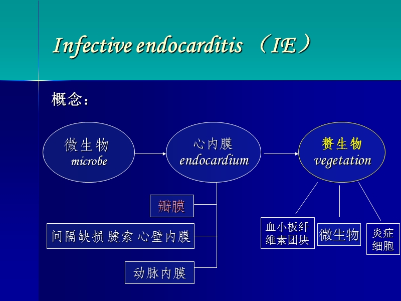 6.第三篇 第九章 感染性心内膜炎1.ppt_第3页