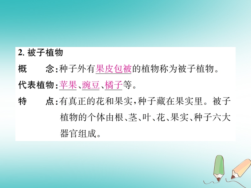 2018年秋七年级科学上册 第2章 观察生物 第5节 常见的植物 第1课时 种子植物课件 （新版）浙教版.ppt_第3页