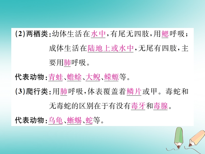 2018年秋七年级科学上册 第2章 观察生物 第4节 常见的动物 第2课时 常见的脊椎动物 检索表课件 （新版）浙教版.ppt_第3页