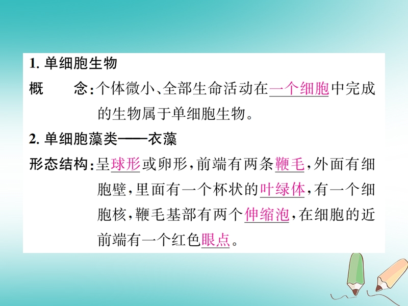 2018年秋七年级科学上册 第2章 观察生物 第6节 物种的多样性 第1课时 单细胞生物和多细胞生物课件 （新版）浙教版.ppt_第2页