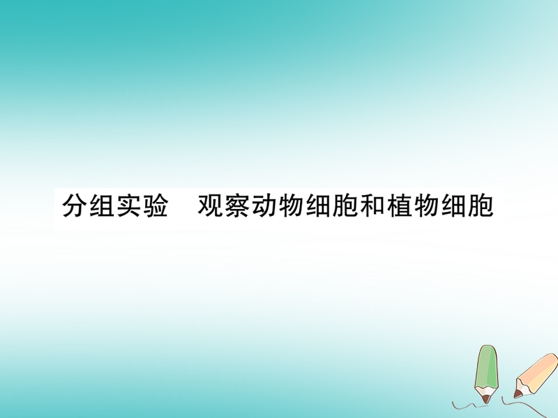 2018年秋七年级科学上册 第2章 观察生物 分组实验 观察动物细胞和植物细胞课件 （新版）浙教版.ppt_第1页