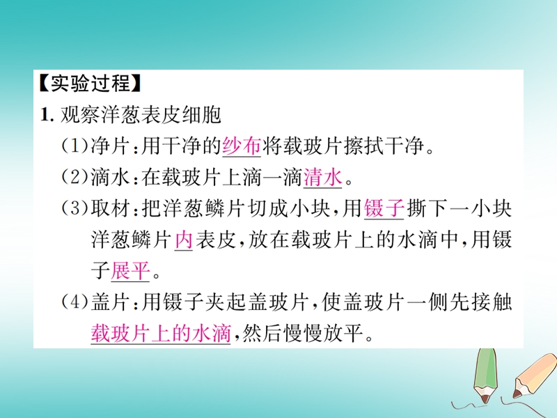 2018年秋七年级科学上册 第2章 观察生物 分组实验 观察动物细胞和植物细胞课件 （新版）浙教版.ppt_第3页