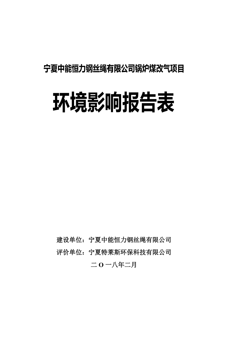 宁夏中能恒力钢丝绳有限公司锅炉煤改气项目.doc_第1页