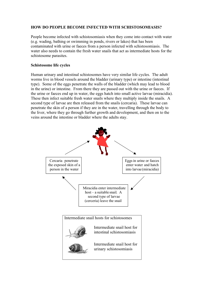 facts about schistosomiasis.doc_第2页