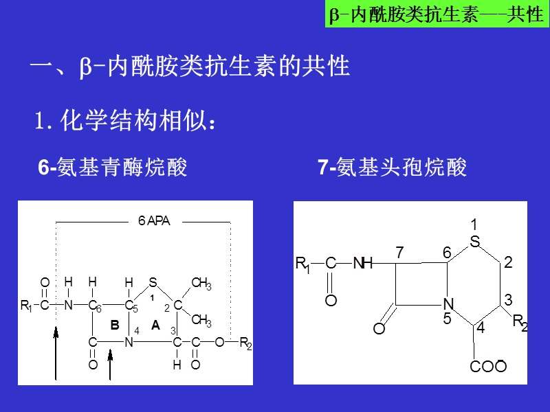 lactam antibiotics.ppt_第3页