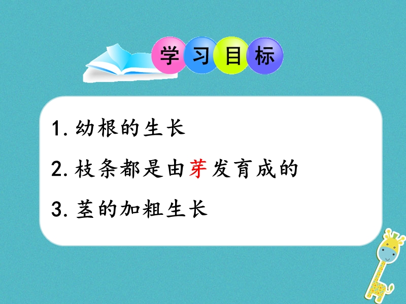 广东省汕头市七年级生物上册 3.2.2植株的生长课件 （新版）新人教版.ppt_第3页