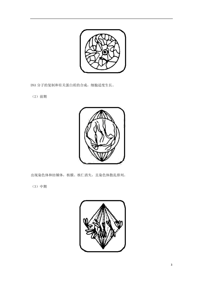 （全国通用）2018年高考生物总复习《细胞增殖》专题突破学案.doc_第3页