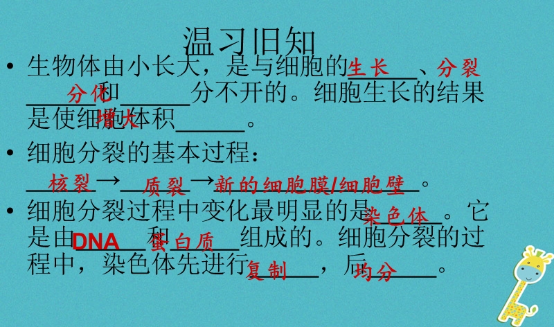 广东省汕头市七年级生物上册 2.2.2动物体的结构层次课件 （新版）新人教版.ppt_第1页