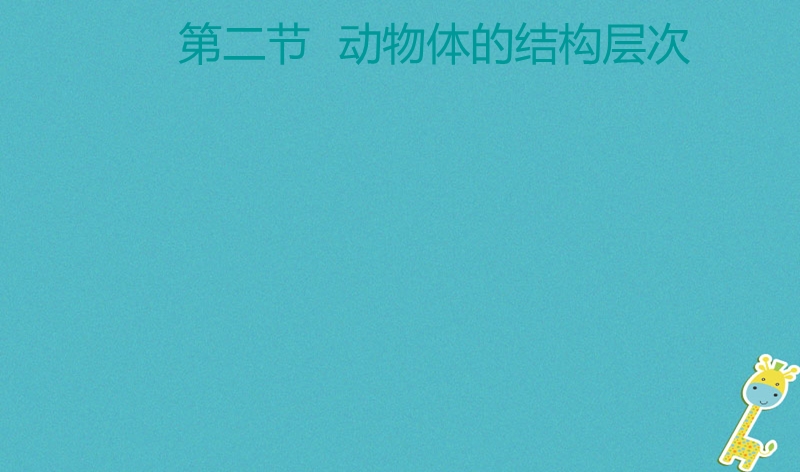 广东省汕头市七年级生物上册 2.2.2动物体的结构层次课件 （新版）新人教版.ppt_第3页