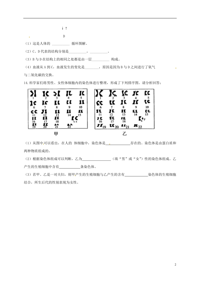 甘肃省武威市第十七中学2018届九年级生物下学期期中试题.doc_第2页