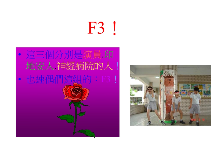 努力成果.ppt_第3页