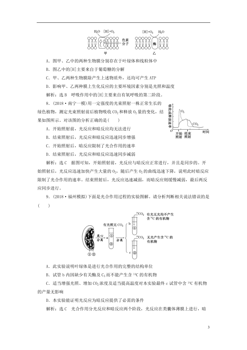 （全国通用版）2019版高考生物一轮复习 第一部分 分子与细胞 第三单元 细胞的能量供应和利用 课时跟踪检测（十一）光合作用的探究历程与基本过程.doc_第3页