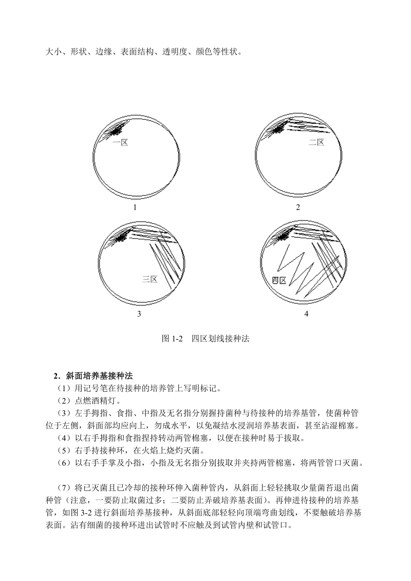 microscope and microscopy.doc_第3页