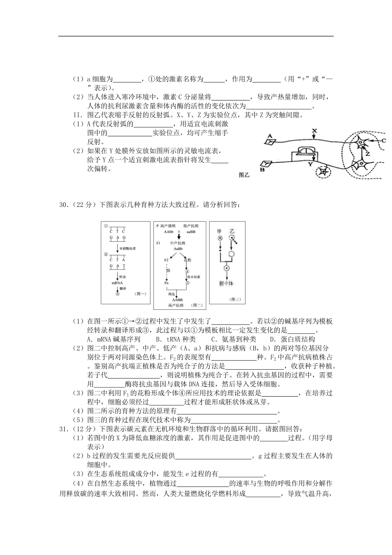 2013高考百天仿真冲刺卷(理综生物试卷) （十）.doc_第2页