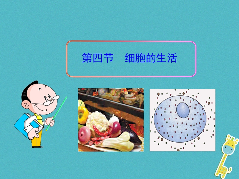 陕西省石泉县七年级生物上册 2.1.4 细胞的生活课件 （新版）新人教版.ppt_第1页