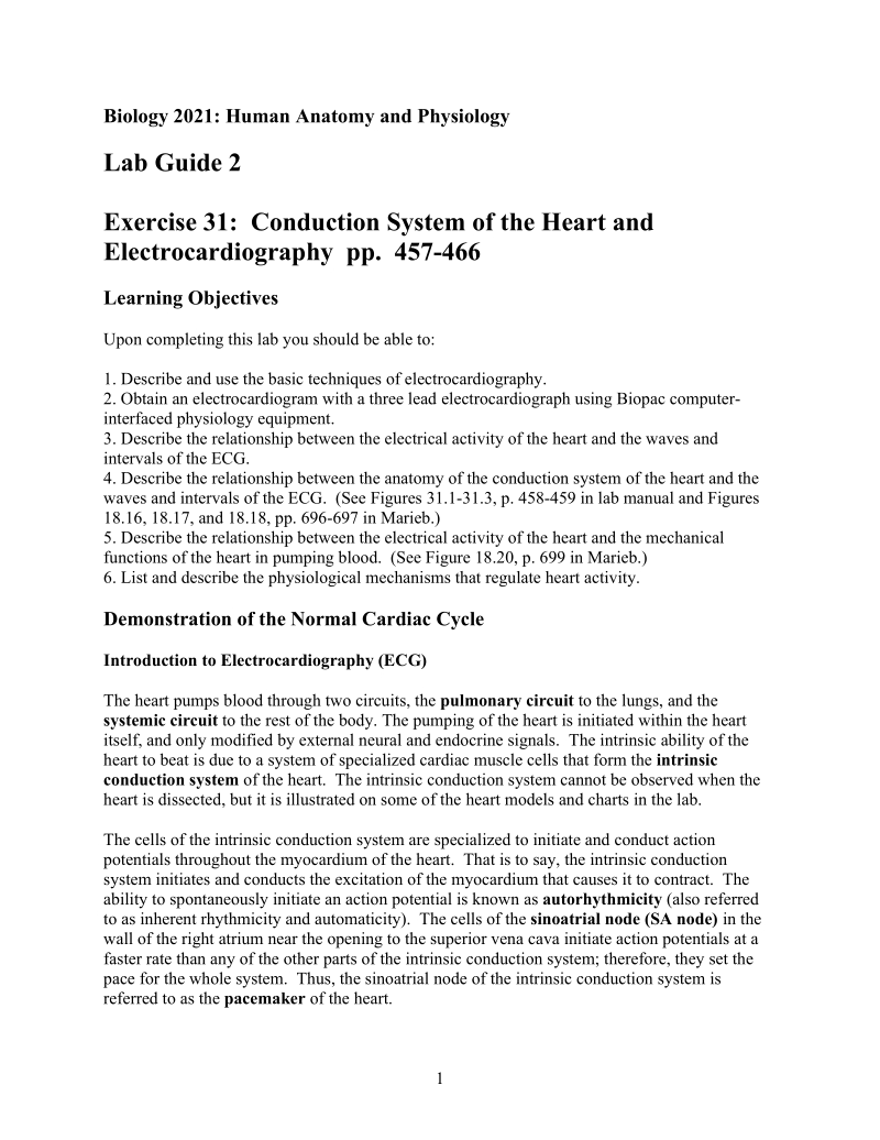 lb_gid02htm the conduction system of the heart and.doc_第1页