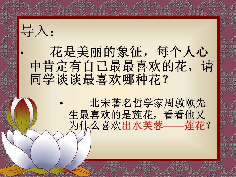 莲花欣赏.ppt_第1页