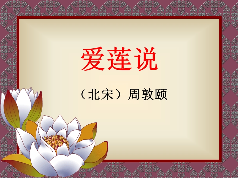 莲花欣赏.ppt_第3页