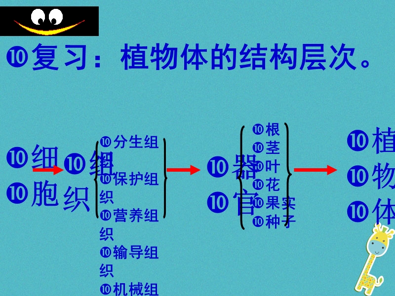 陕西省石泉县七年级生物上册 2.2.4第四节单细胞生物课件 （新版）新人教版.ppt_第2页