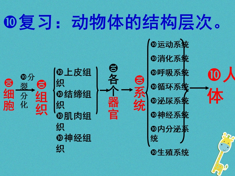 陕西省石泉县七年级生物上册 2.2.4第四节单细胞生物课件 （新版）新人教版.ppt_第3页