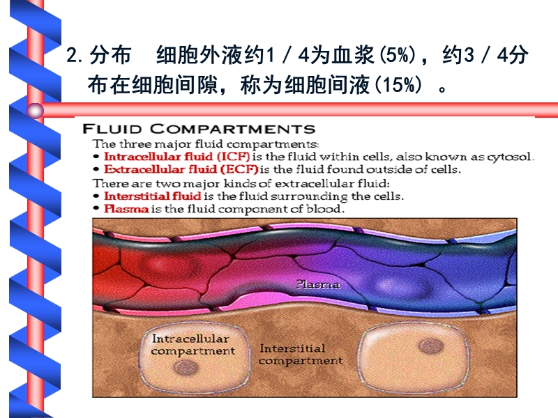 此处是标题.ppt_第3页