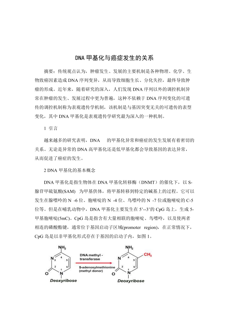 分子营养学论文_dna甲基化与癌症 7页.doc_第1页