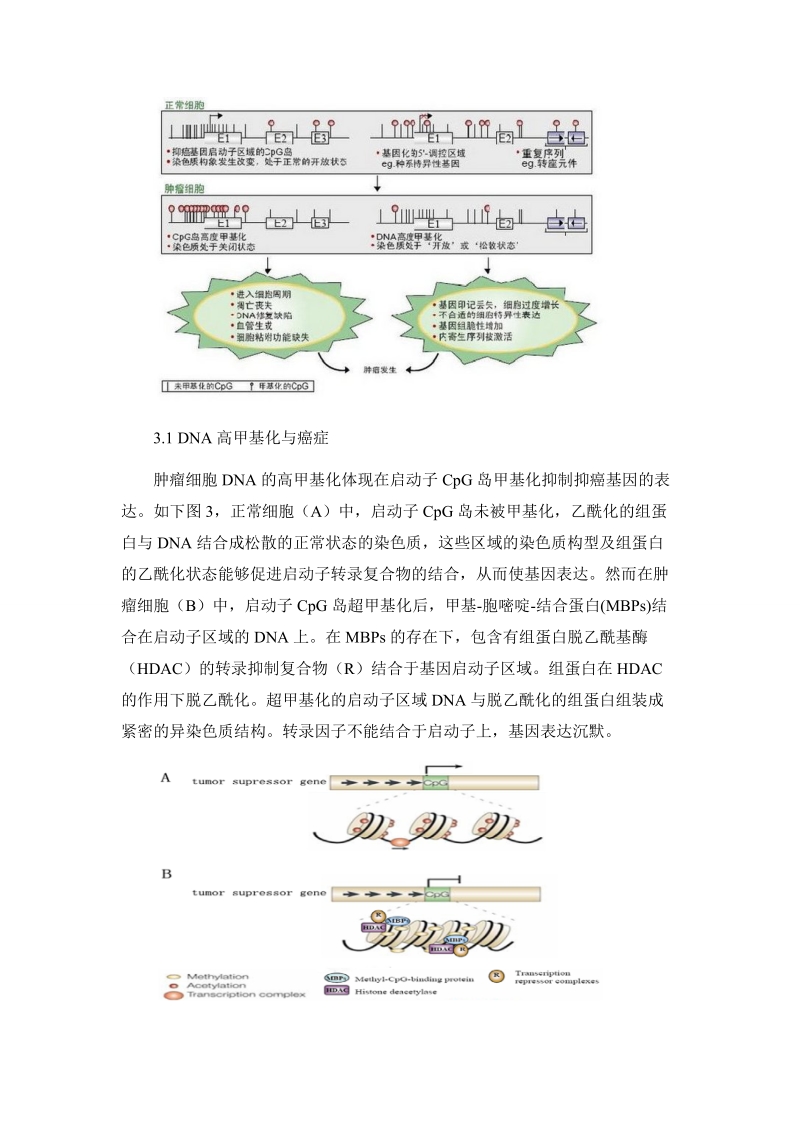 分子营养学论文_dna甲基化与癌症 7页.doc_第3页