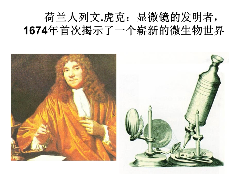 《微生物》.ppt_第2页