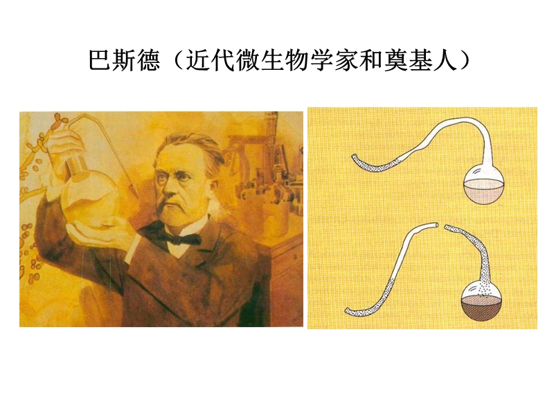 《微生物》.ppt_第3页